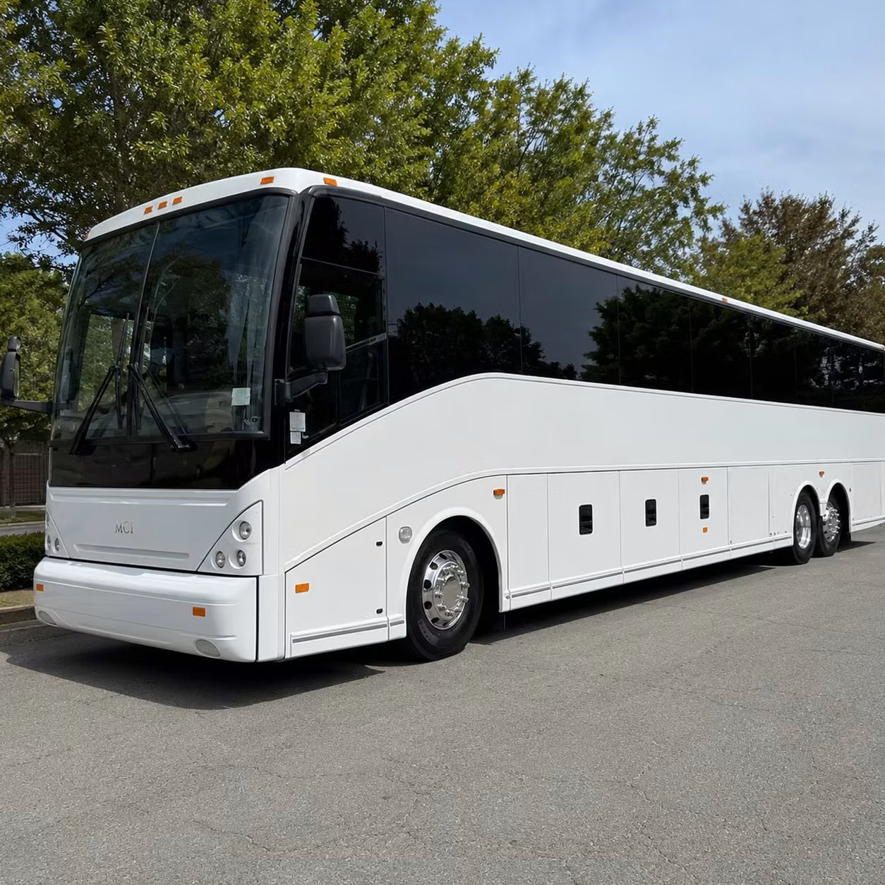 wedding groups reunion groups and tour parties one bus handles everything